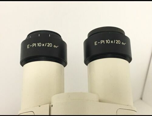 CARL ZEISS Axiolab re Microscope w/ 10x 40x 100x CP-Achromat Objectives 3 Microscope
