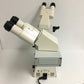 CARL ZEISS Axiolab re Microscope w/ 10x 40x 100x CP-Achromat Objectives 3 Microscope