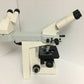 CARL ZEISS Axiolab re Microscope w/ 10x 40x 100x CP-Achromat Objectives 3 Microscope