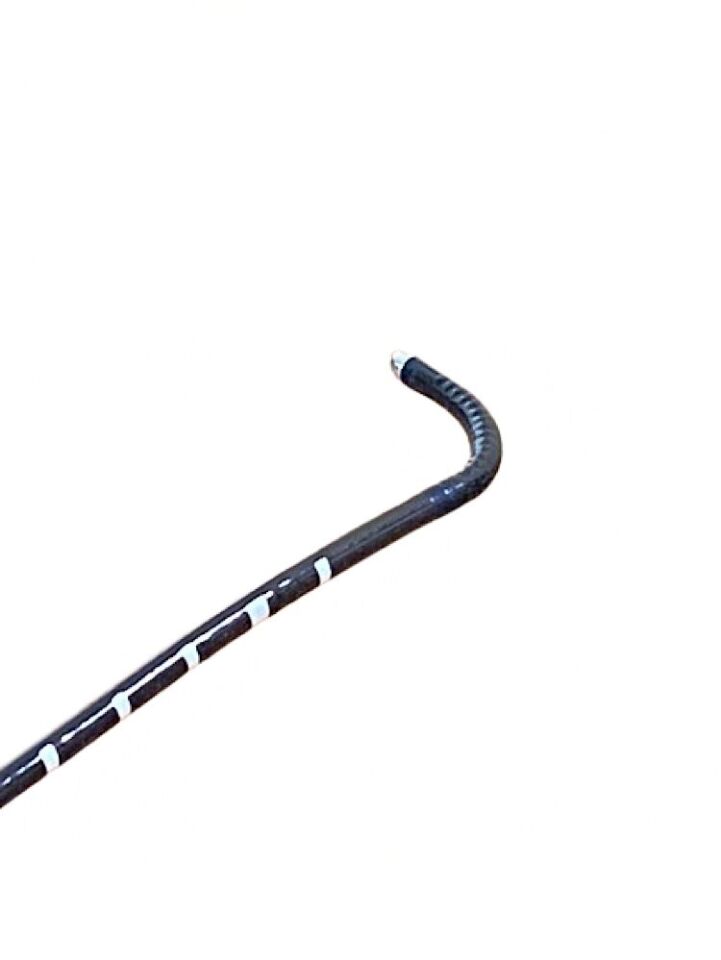 KARL STORZ 11263BBU 1 FLEXIBLE HYSTEROSCOPE Hysteroscope